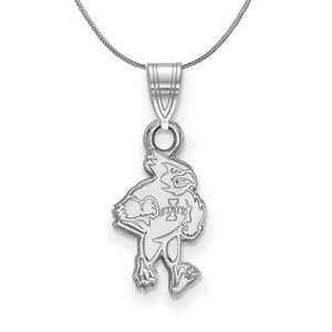 Sterling Silver Iowa State Small Pendant Necklace - 24 Inch